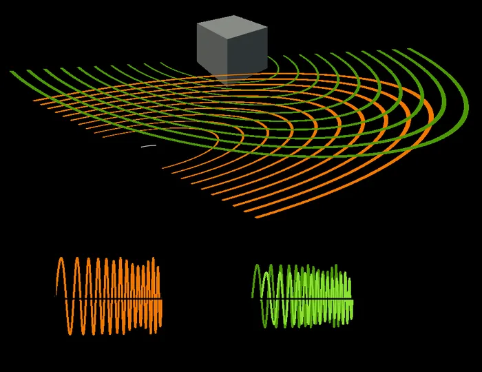 Bat echolocation diagram
