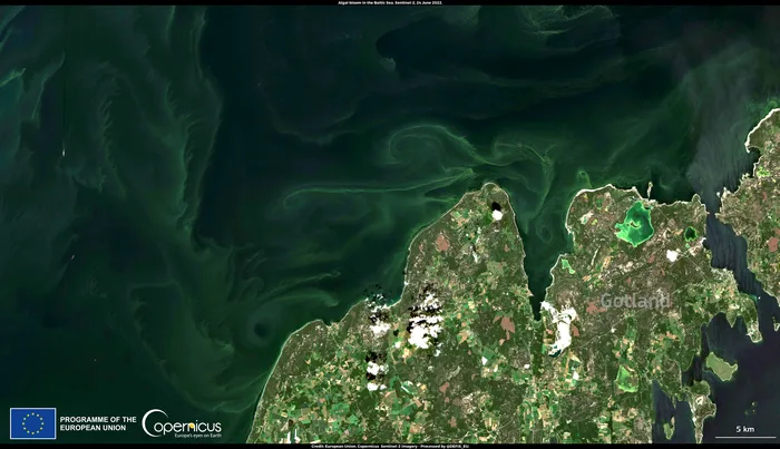 Algal bloom in water body